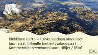 Laura Hoijer_LUKEwebinar_17042023.pdf