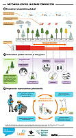 climate_change_08_FI.pdf