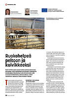 Manni_Huuskonen_2021_RuokohelpeäPeltoonKuivikkeeksi_Nauta2.pdf