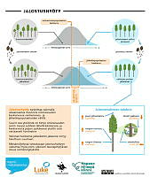 genetic_gain_04_FI.pdf