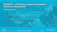 06 Sateenvarjo 12032024 Janhunen.pdf