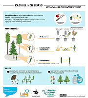 vegetative_propagation_08_FI.pdf