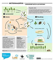 breeding_overview09_FI.pdf