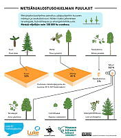 species_areas_03_FI.pdf