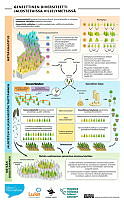 genetic_diversity_09_FI.pdf