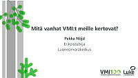 VMI100_Pekka-Nojd_final.pdf