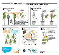 seed_orchard_10_FI.pdf