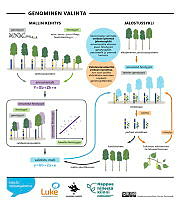 genomic_selection_05_FI.pdf